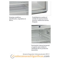 Detalles Armario Expositor Refrigerador Sobremostrador BFS 9